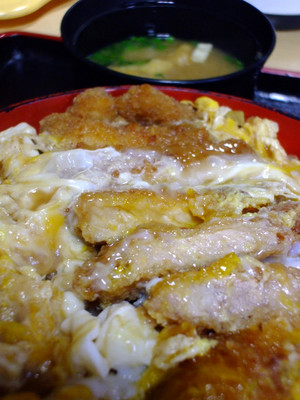 kasugas-kd1u.jpg